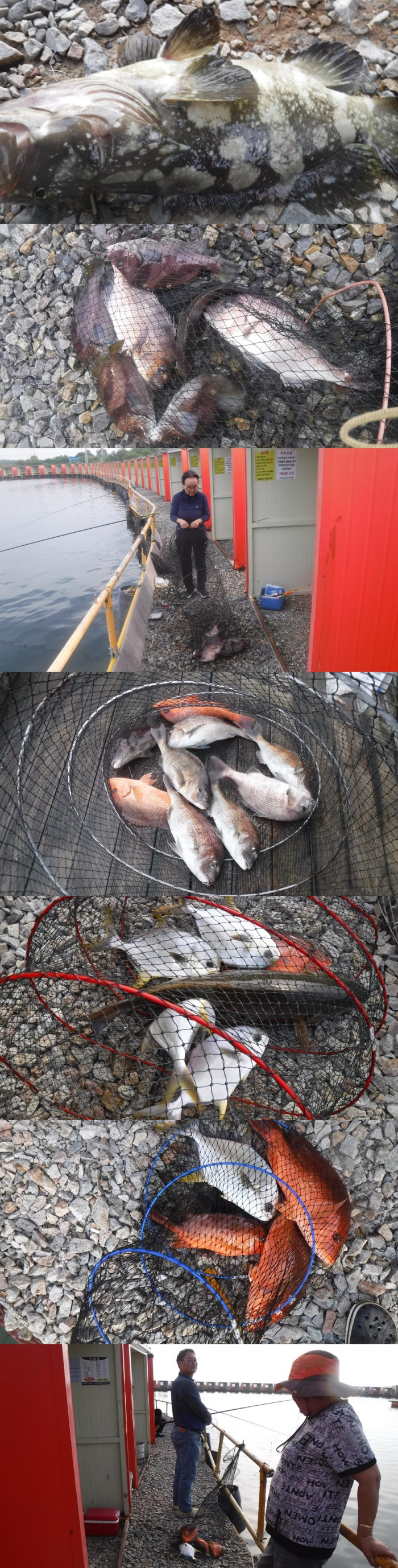 b6c510137d31da0bb486274b4898fa6a_1758873