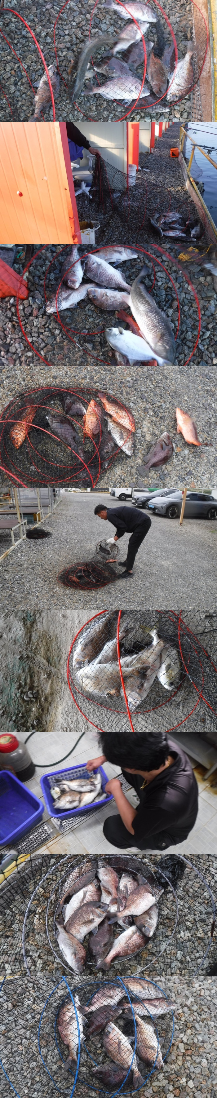 b6c510137d31da0bb486274b4898fa6a_1758961