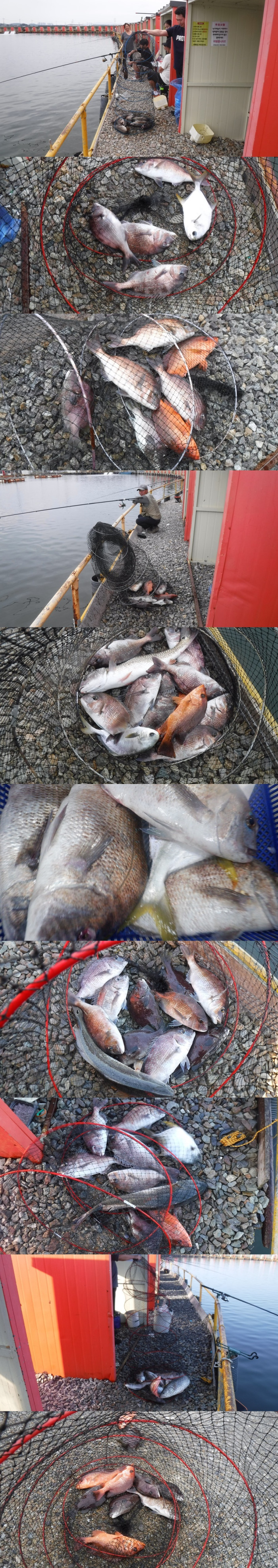 b6c510137d31da0bb486274b4898fa6a_1758961