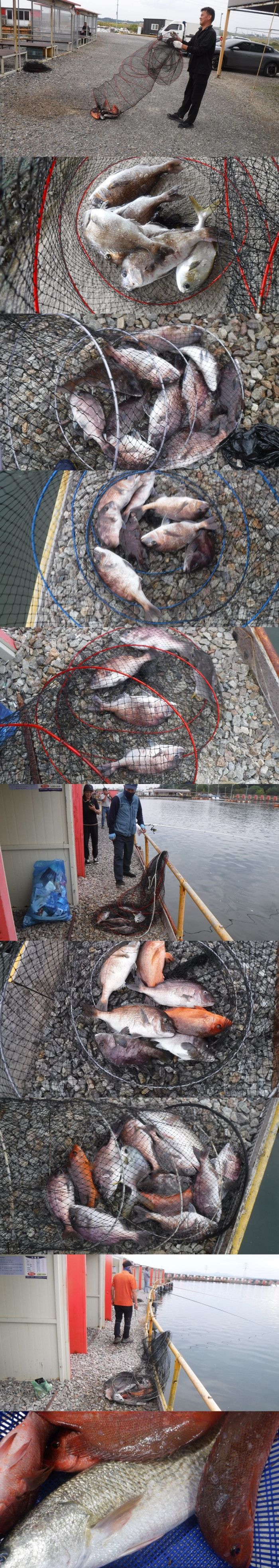 b6c510137d31da0bb486274b4898fa6a_1758961