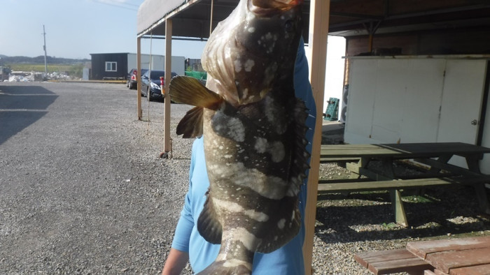 b6c510137d31da0bb486274b4898fa6a_1759142