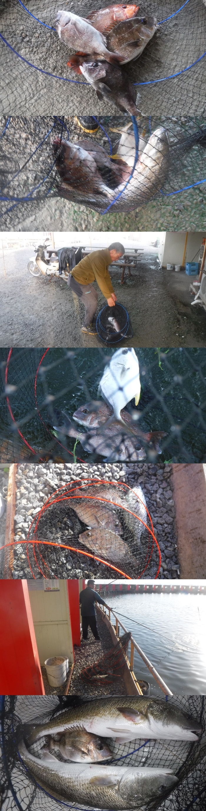 b6c510137d31da0bb486274b4898fa6a_1759142