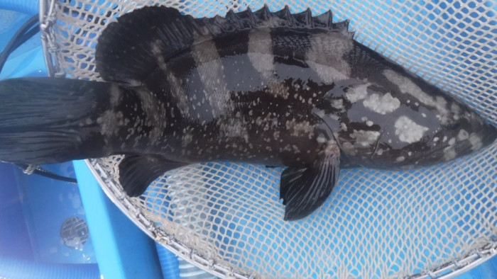 b6c510137d31da0bb486274b4898fa6a_1759220