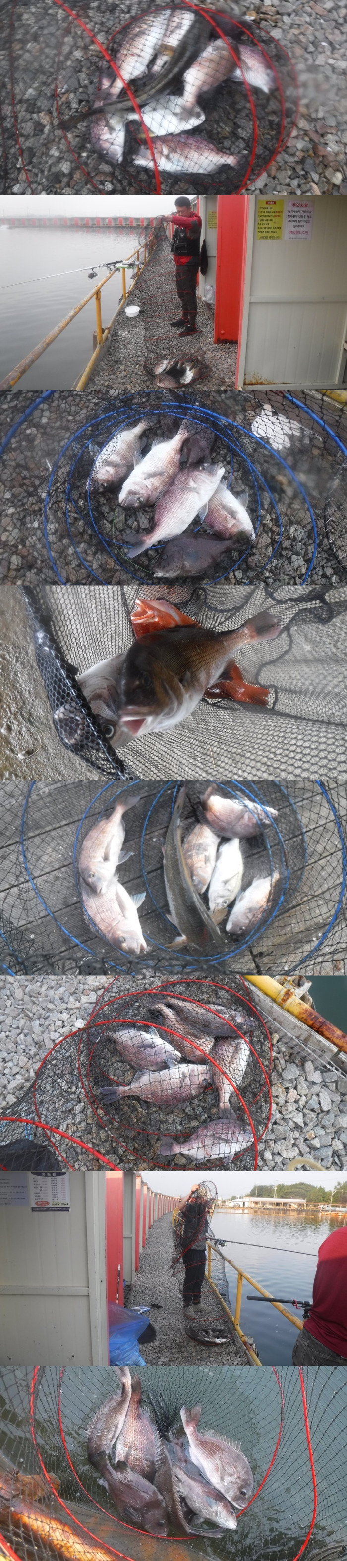 b6c510137d31da0bb486274b4898fa6a_1759220