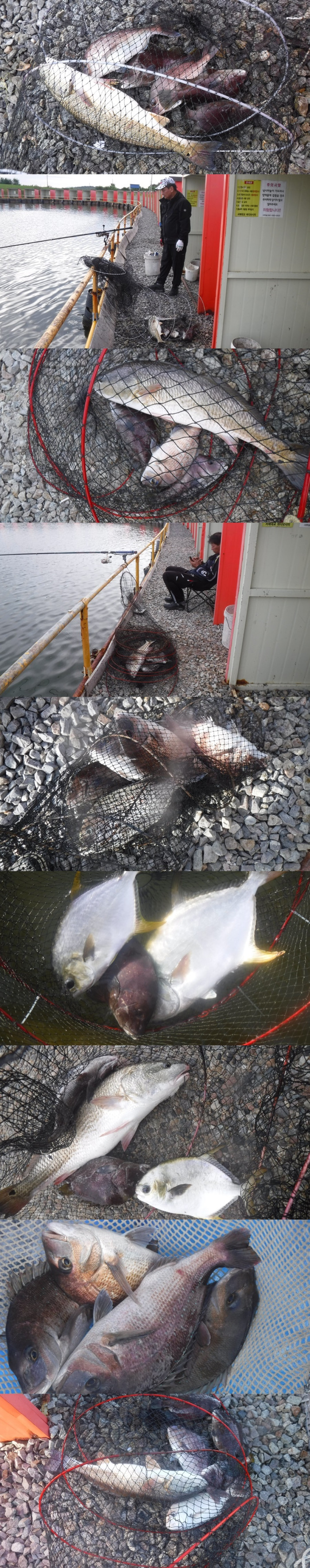 fb182a1b7168b45e625094de37ee3bd2_1758701