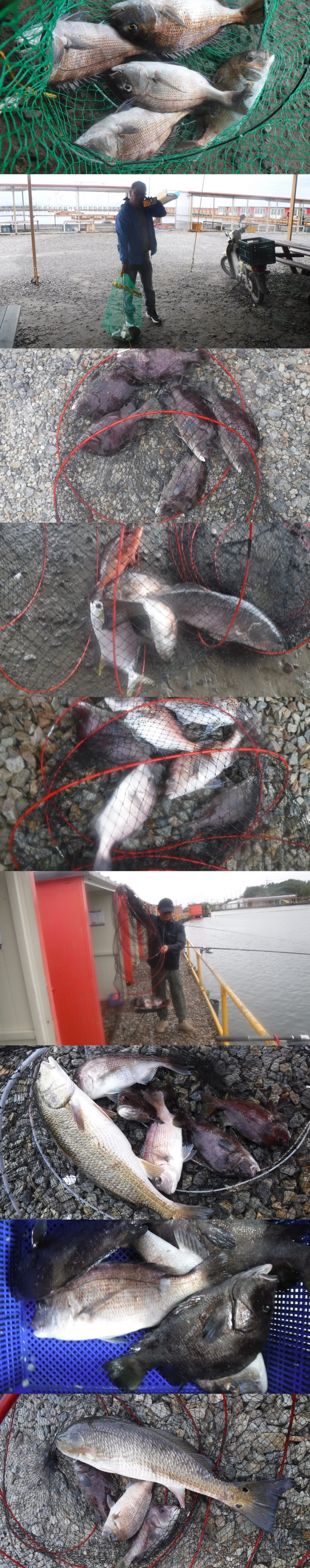 fb182a1b7168b45e625094de37ee3bd2_1758701