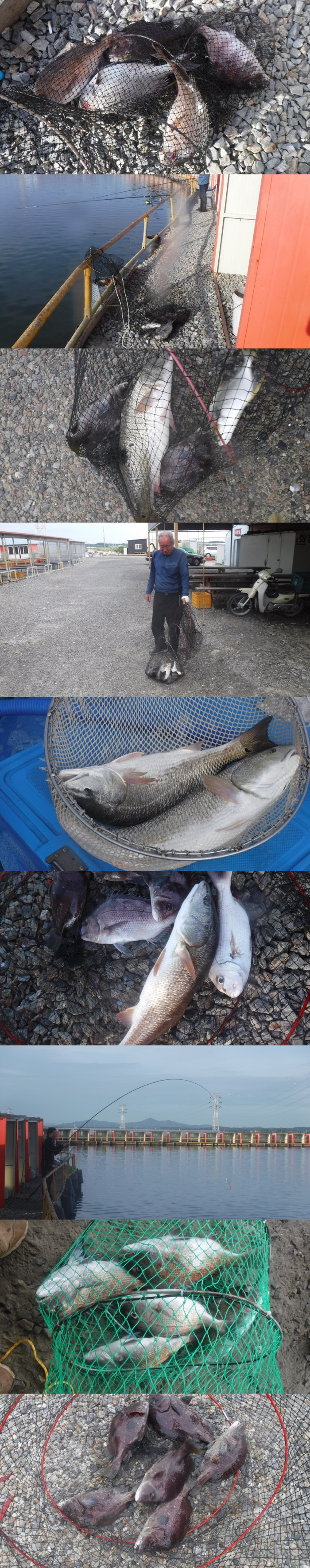 fb182a1b7168b45e625094de37ee3bd2_1758701