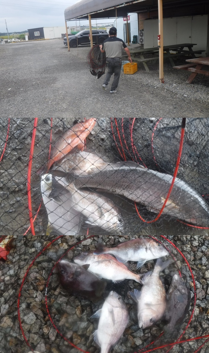 fb182a1b7168b45e625094de37ee3bd2_1758701