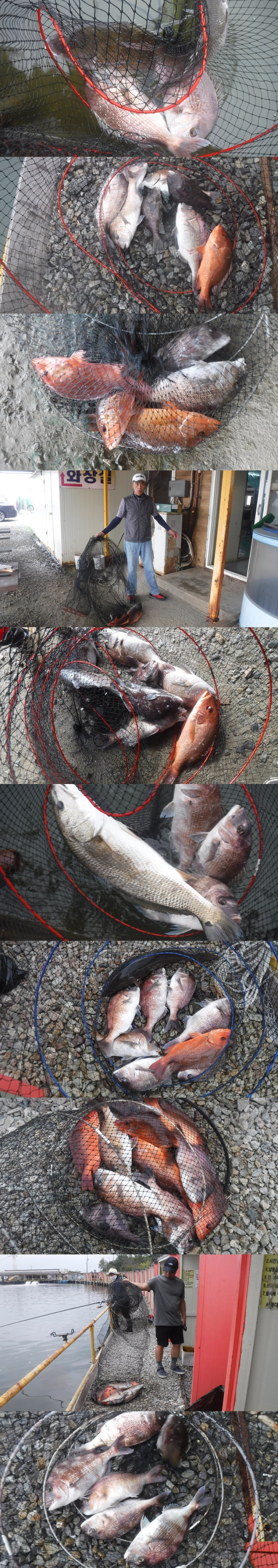 125718aa4ee6b184daaab457fe381eec_1759571