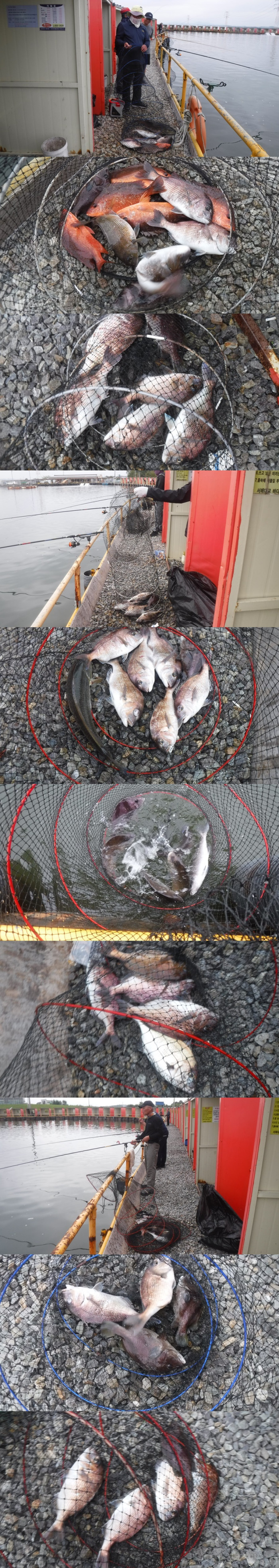 125718aa4ee6b184daaab457fe381eec_1759571