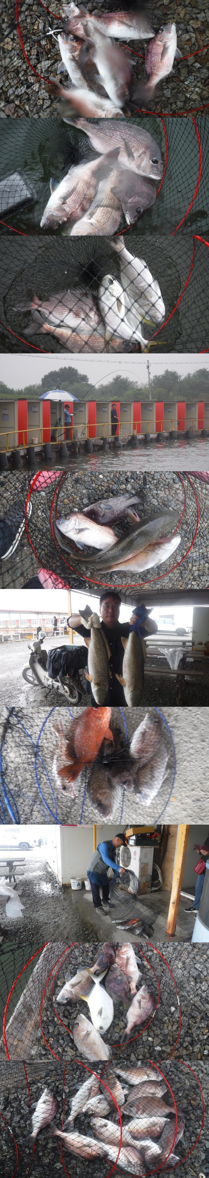 125718aa4ee6b184daaab457fe381eec_1759740