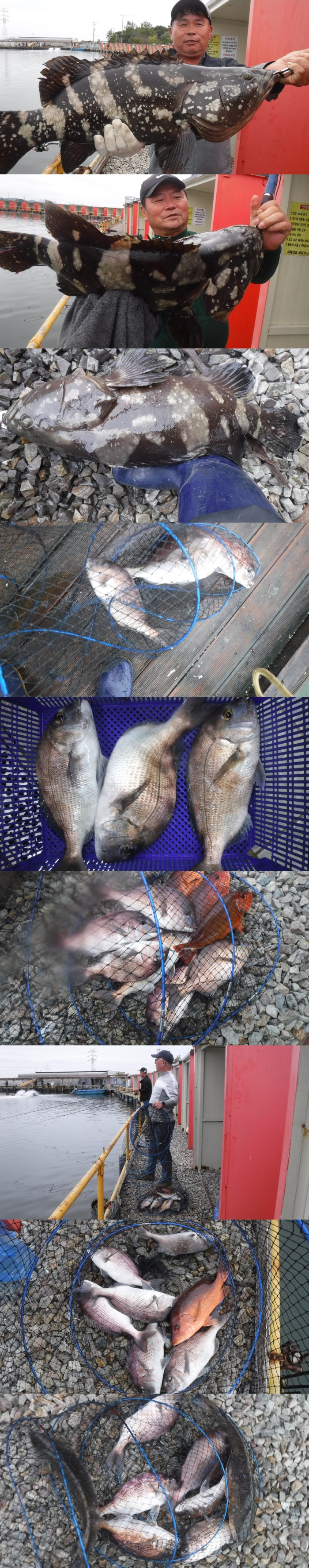 125718aa4ee6b184daaab457fe381eec_1759828