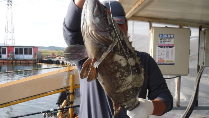 29166503b8d791ed30f7c9571ead5828_1761140