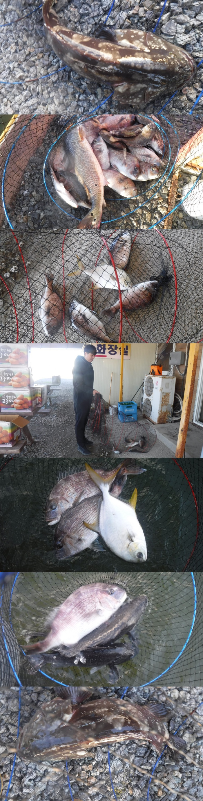 29166503b8d791ed30f7c9571ead5828_1761554