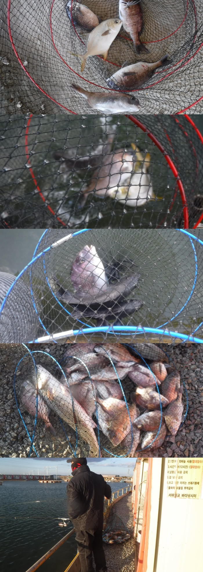 29166503b8d791ed30f7c9571ead5828_1761554