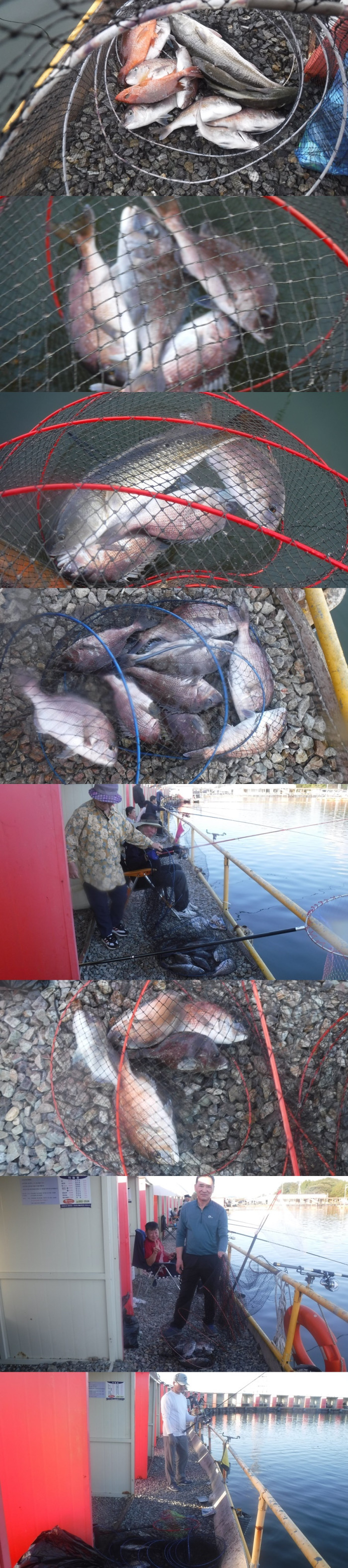 702672a9ec2415a800b8034225ce78cf_1759913