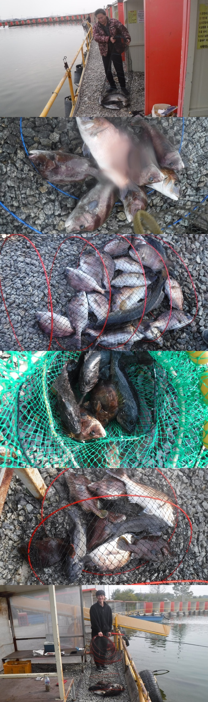 f0915aedeb39c26a3e7f22b380ed8c81_1761810