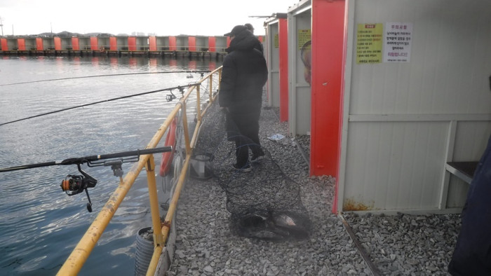 36738e0f539832fe134fe8327ce0f3e0_1762070