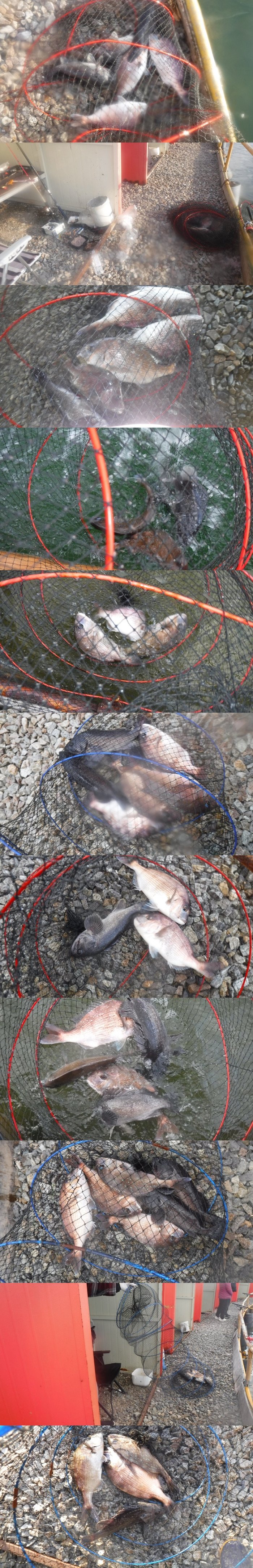 36738e0f539832fe134fe8327ce0f3e0_1762070