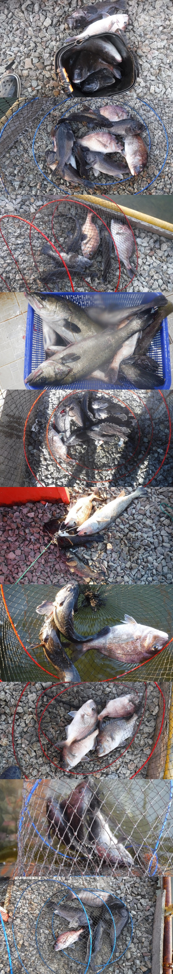 3b1fd6298cebc5c49b14b4fd37ab3594_1763196