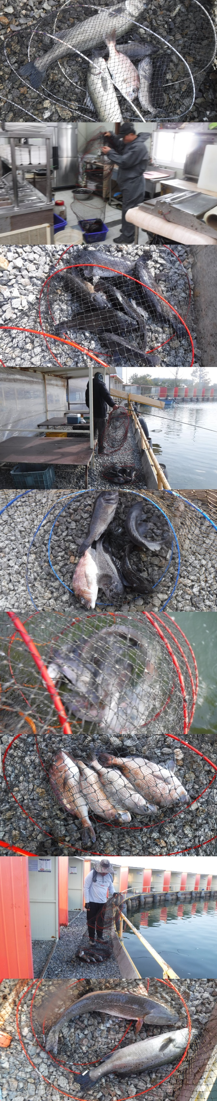 48daa086f8024ee811eede3fd2679ba6_1762502