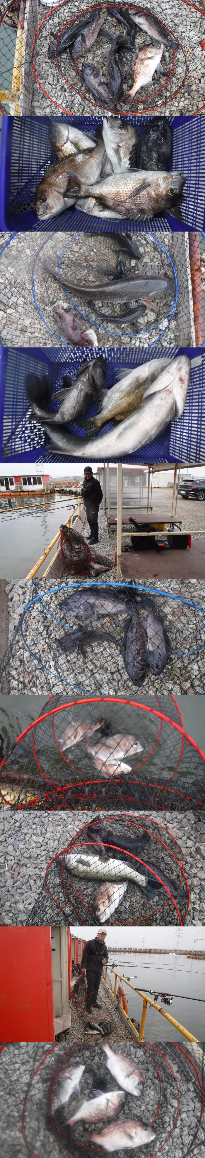 48daa086f8024ee811eede3fd2679ba6_1762593