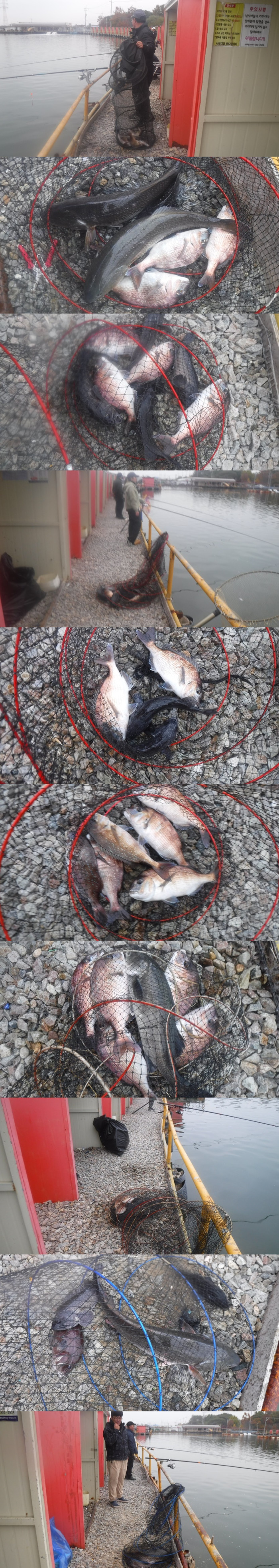 48daa086f8024ee811eede3fd2679ba6_1762593