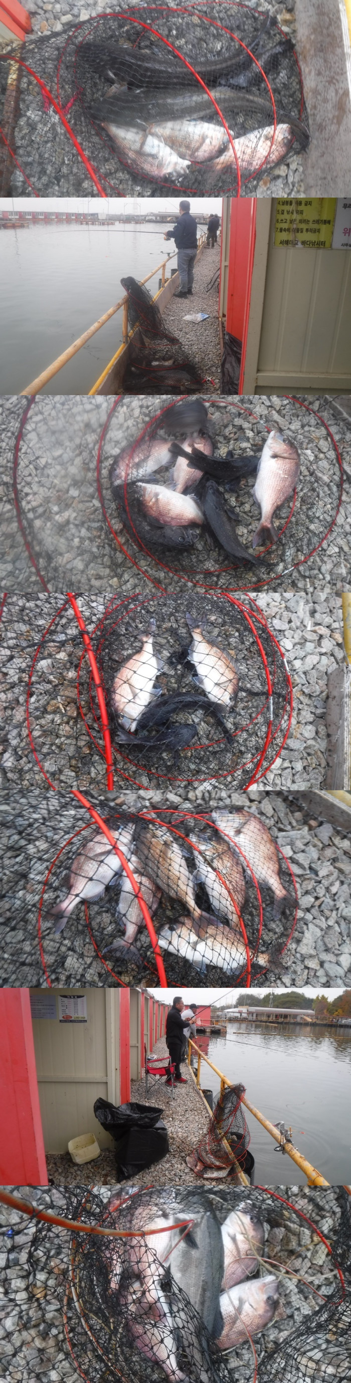 48daa086f8024ee811eede3fd2679ba6_1762593