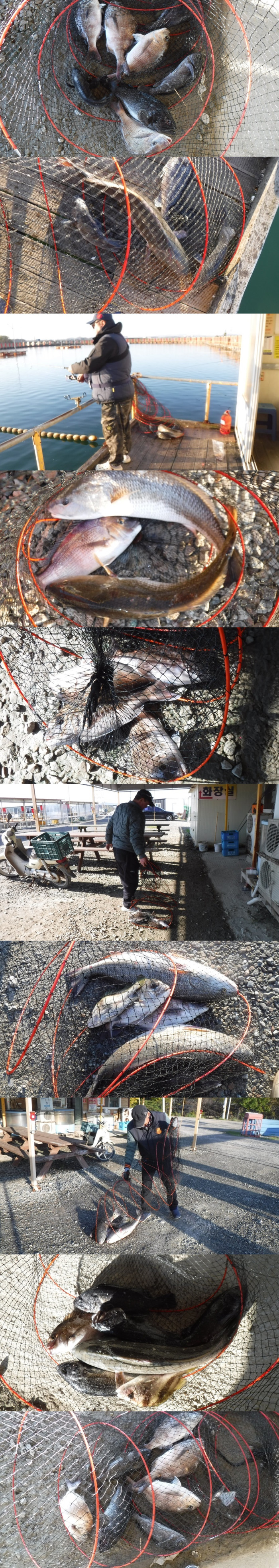 4f3d815c4ef5eee7467cad1cb0ca8065_1762160