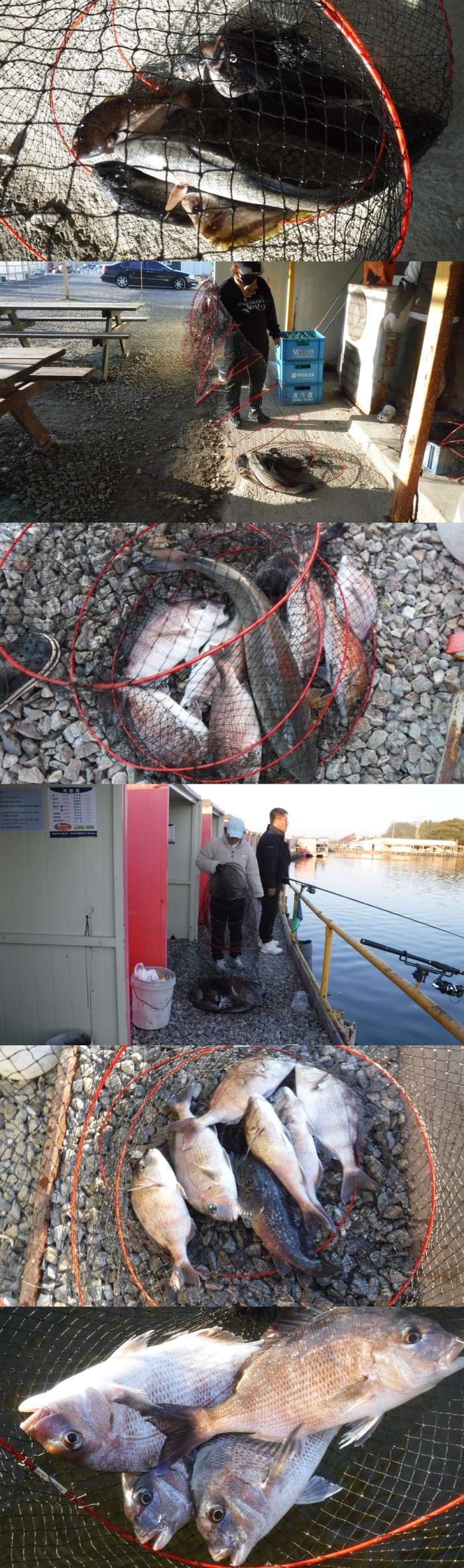 4f3d815c4ef5eee7467cad1cb0ca8065_1762160