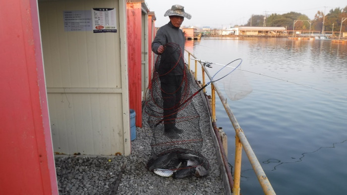 4f3d815c4ef5eee7467cad1cb0ca8065_1762247