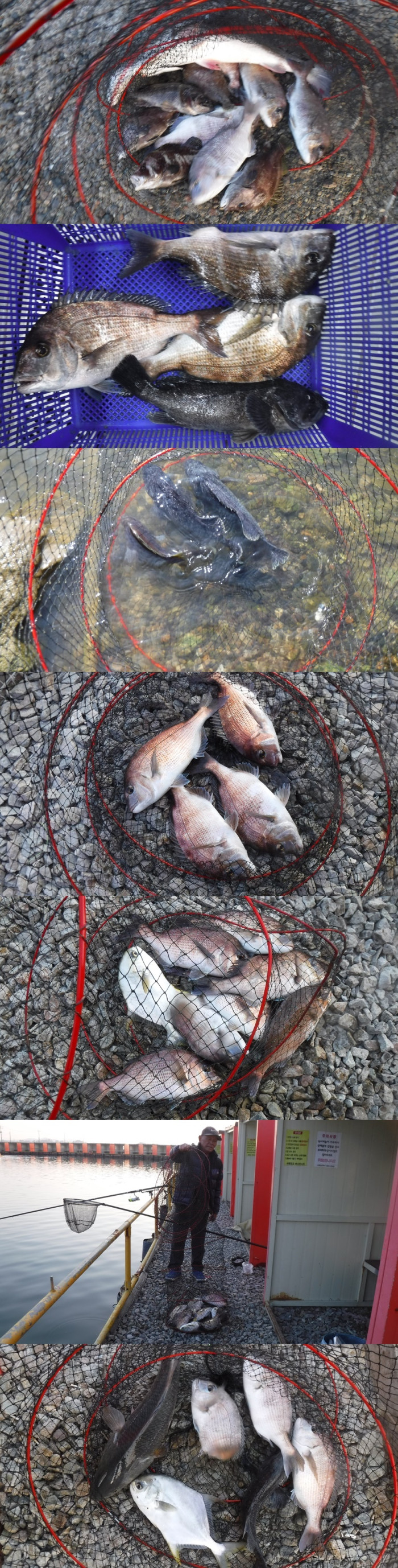 4f3d815c4ef5eee7467cad1cb0ca8065_1762247