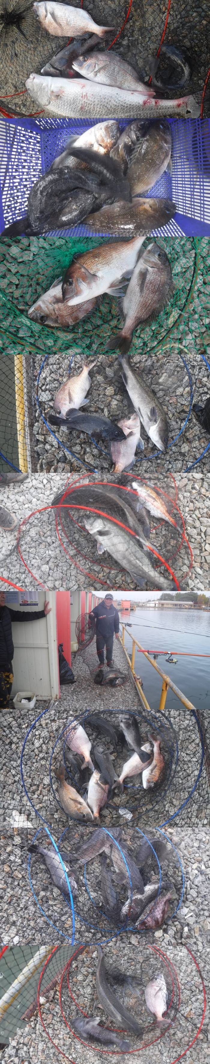 77e96c2b94a3e3fc1439b9e711f287dc_1762676