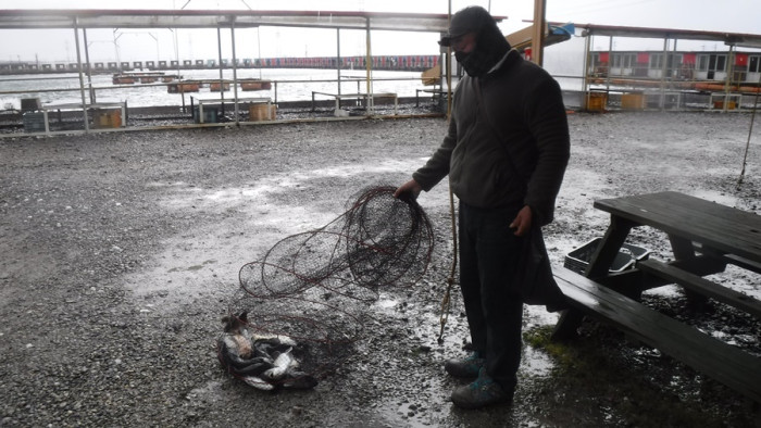 881a84ab67e7bfc56ae4d74db3c630f8_1764317