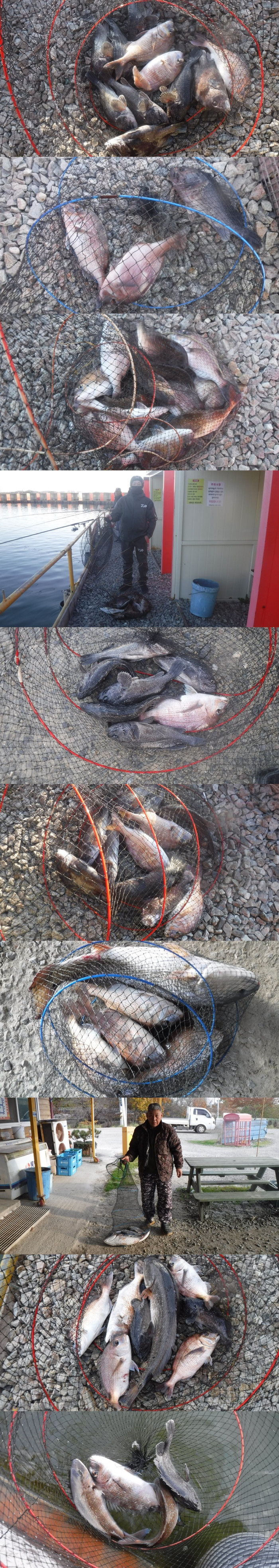 8d95152d5bf0395240b7a078dd59f8bd_1762851