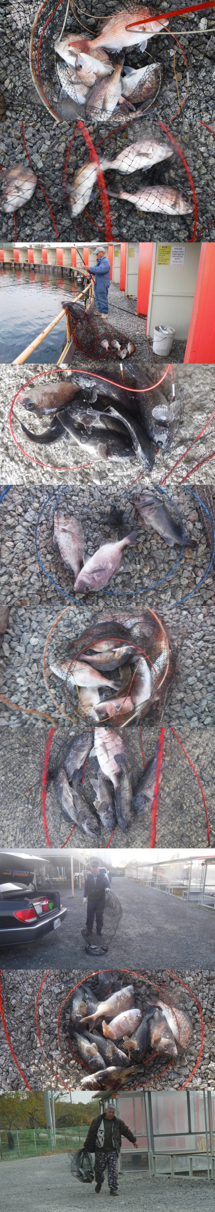 8d95152d5bf0395240b7a078dd59f8bd_1762851