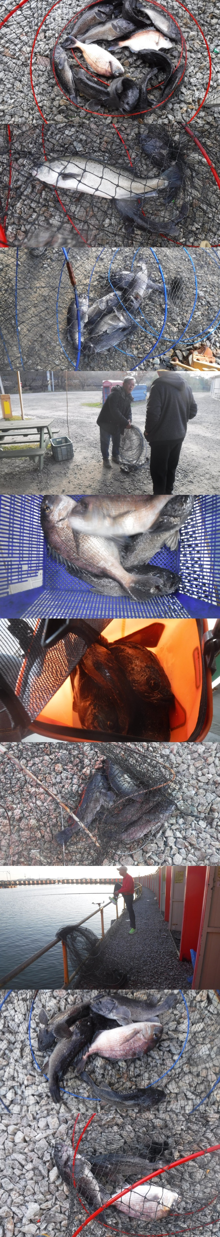 8f4295af531851b4a5226c12ce009708_1763370