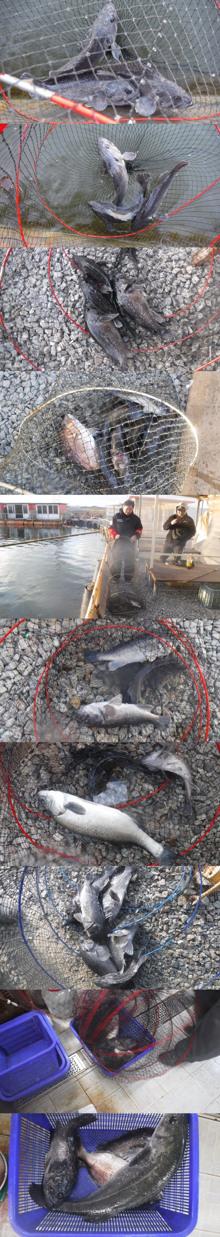 8f4295af531851b4a5226c12ce009708_1763370