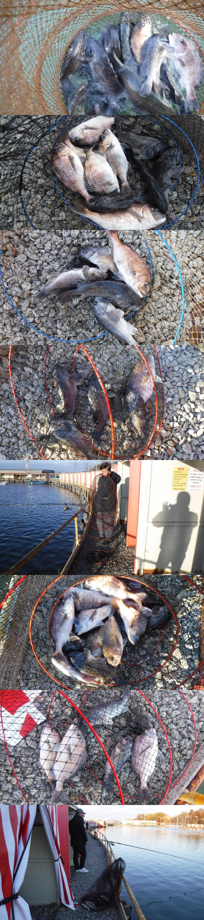 c16b1b4c11c015b89003195eb258110c_1763714