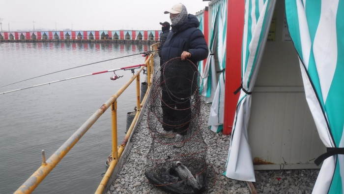 69e867b180e25f773a568093396e01e3_1765094