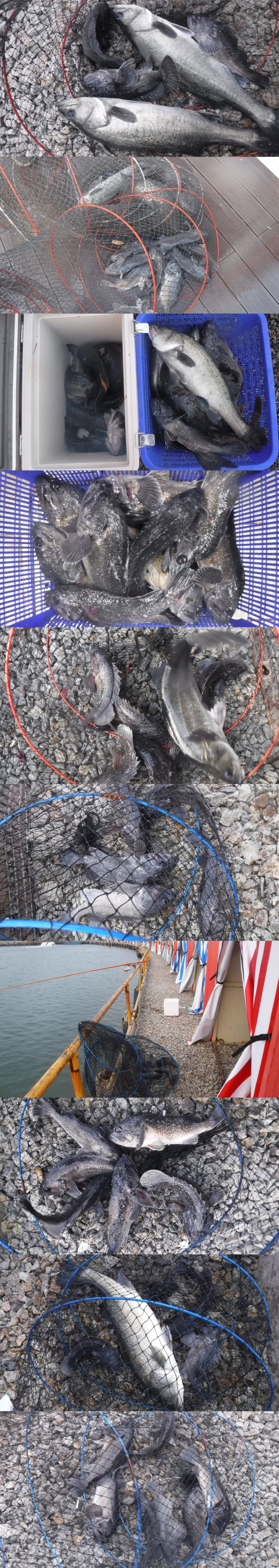 69e867b180e25f773a568093396e01e3_1765094