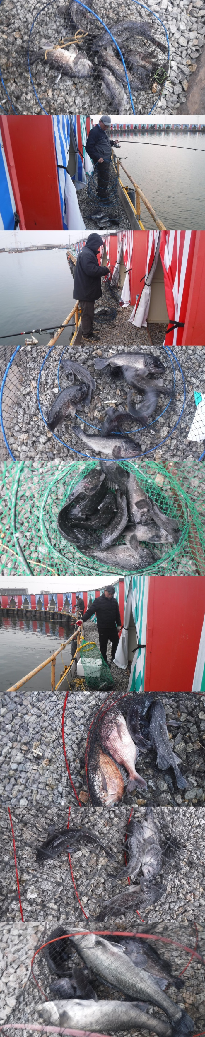 69e867b180e25f773a568093396e01e3_1765094