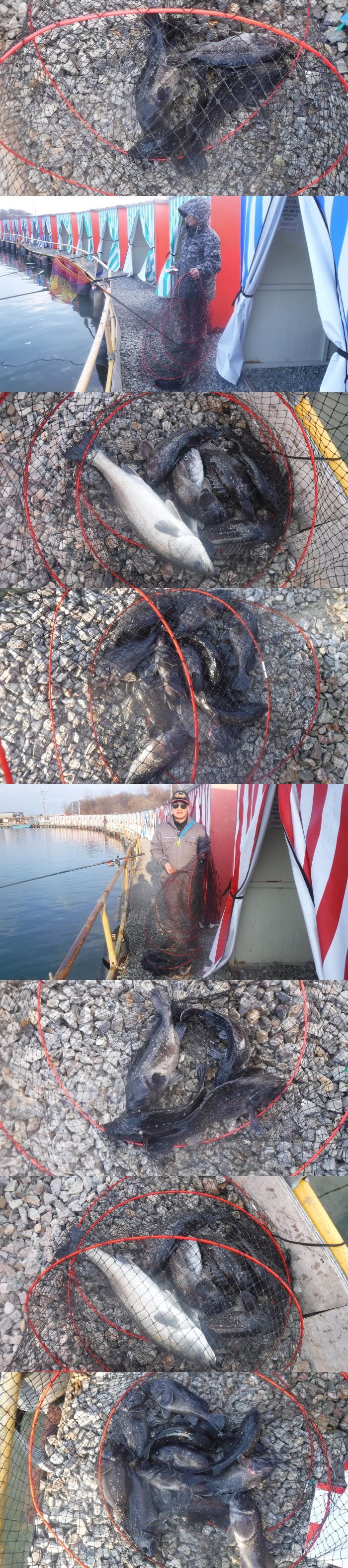 6a32554a554356a1cbe5cc892316cc69_1766909