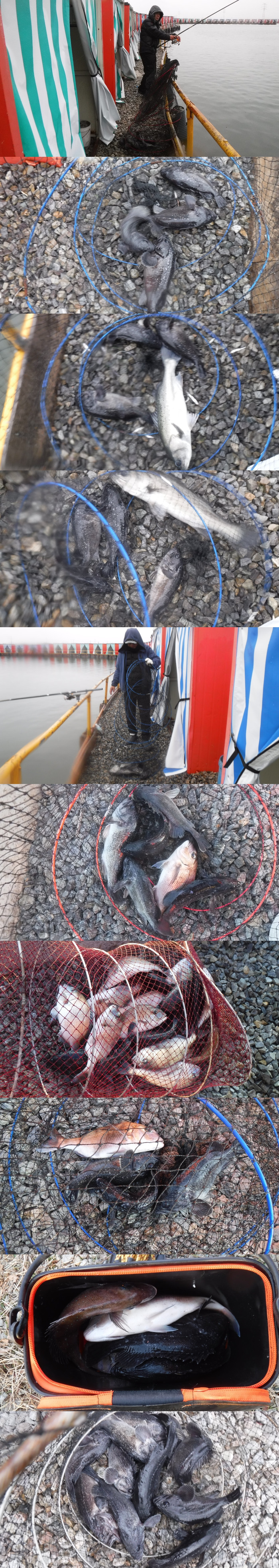 96659bb684ff2c673e7198866474c553_1765612