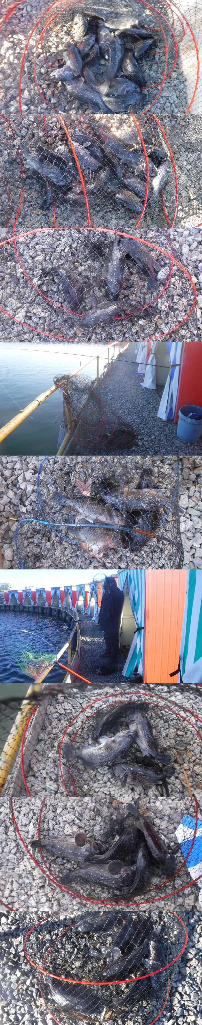 b349e7c5571185e7dfbdf0071538e5b6_1766823