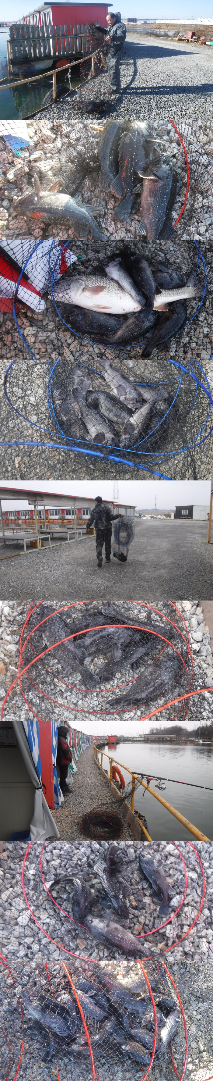 b349e7c5571185e7dfbdf0071538e5b6_1766823