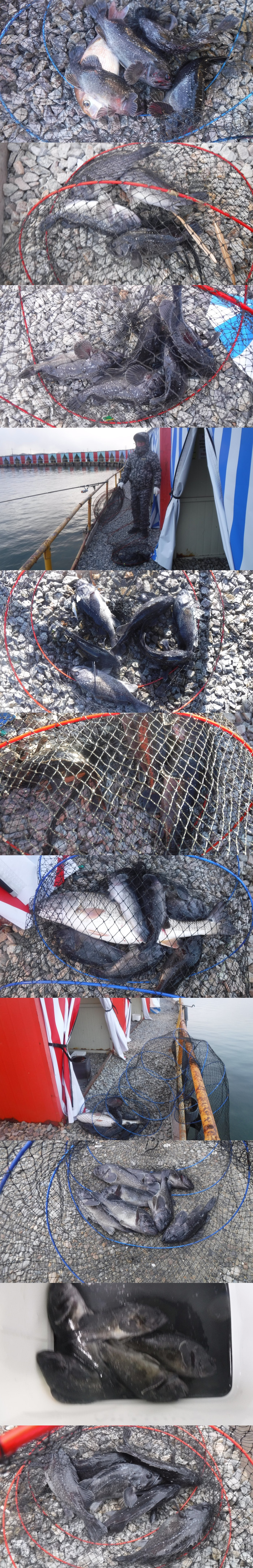 b349e7c5571185e7dfbdf0071538e5b6_1766823