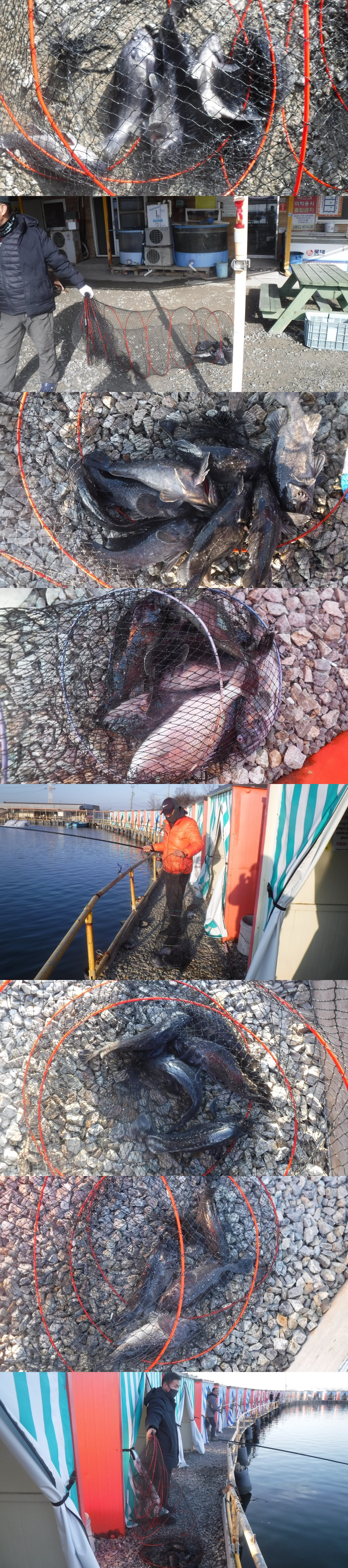 bb86191f63fc821a633719256b2bc573_1766217