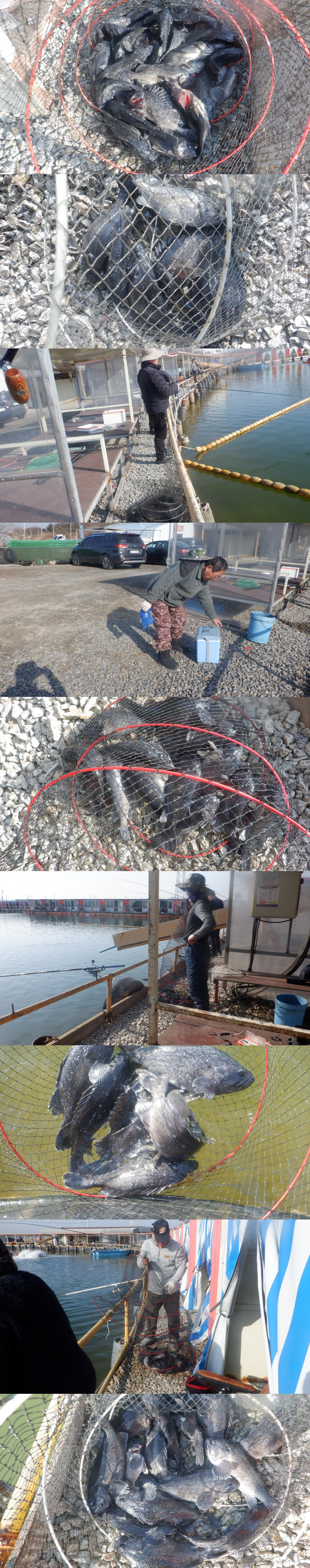 199f7329560f18721070b418623fa97f_1772275