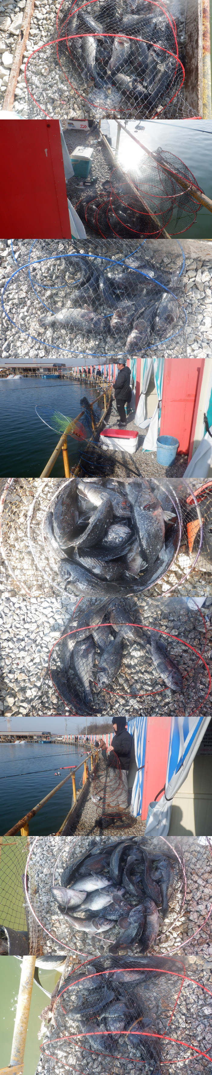 199f7329560f18721070b418623fa97f_1772275